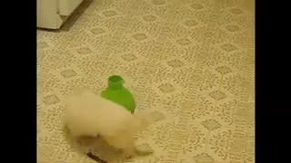 1357051_750915951582_53691_
